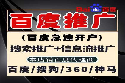 深度解析：百度竞价排名的成功案例及启示